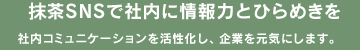 抹茶SNSで社内に情報力とひらめきを 社内コミュニケーションを活性化し、企業を元気にします。